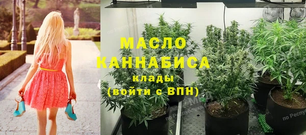 тгк Каменка