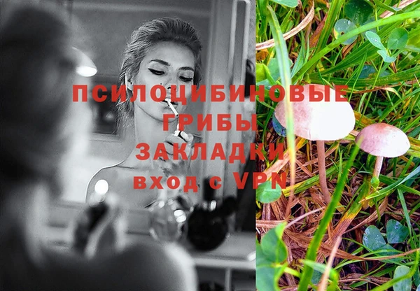 прущий лед Няндома