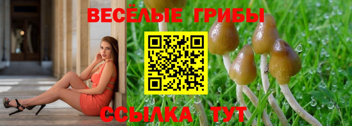 Псилоцибиновые грибы мухоморы Кондопога